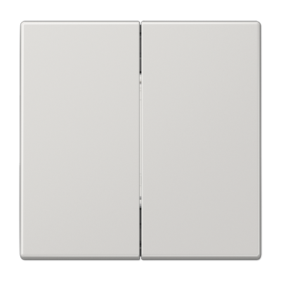 Friends of Hue radio transmitter 4-channel, LS range, light grey