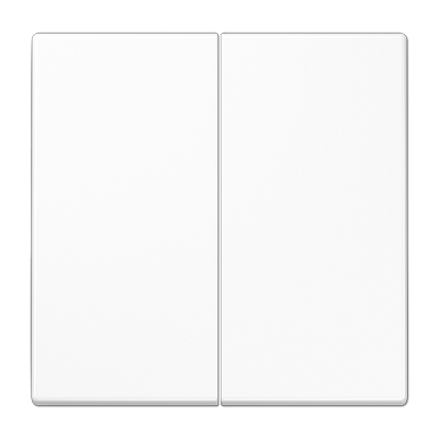 2-gang rocker for push-button 2-gang, F10, LS range